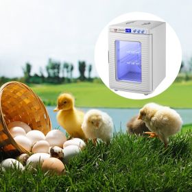 White Reptile Incubator 25L Scientific Lab Incubator Digital Incubator Cooling And Heating 5-42Â°C Reptile Egg Incubator 12V/110V Work For Small Repti