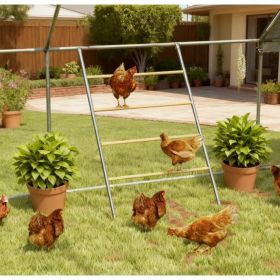 Chicken Roost For Coop, Jungle Gym Roosting Bar